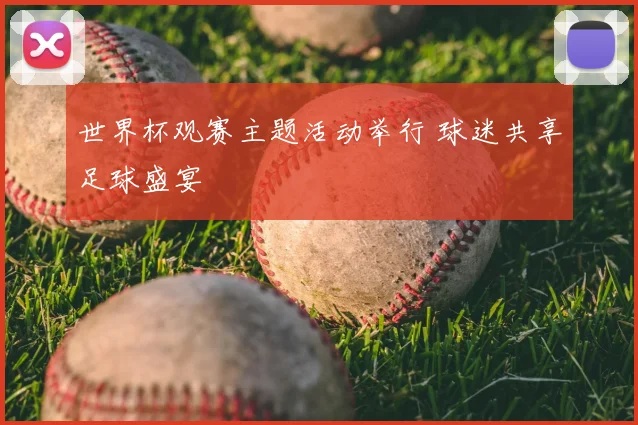 世界杯观赛主题活动举行 球迷共享足球盛宴