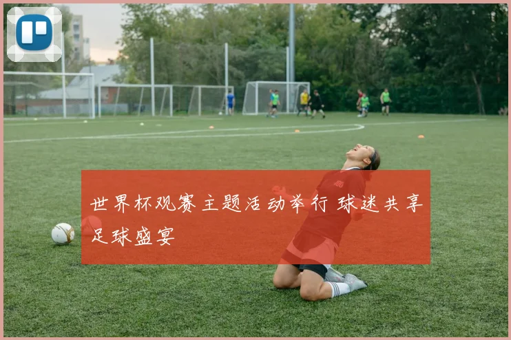 世界杯观赛主题活动举行 球迷共享足球盛宴