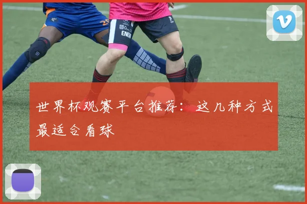 世界杯观赛平台推荐:这几种方式最适合看球