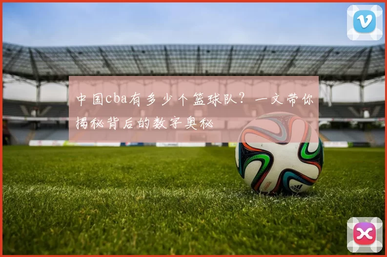 中国cba有多少个篮球队?一文带你揭秘背后的数字奥秘