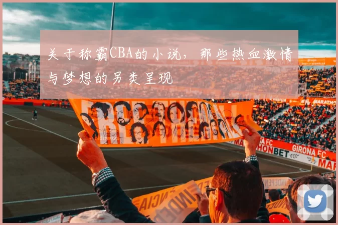 关于称霸CBA的小说，那些热血激情与梦想的另类呈现