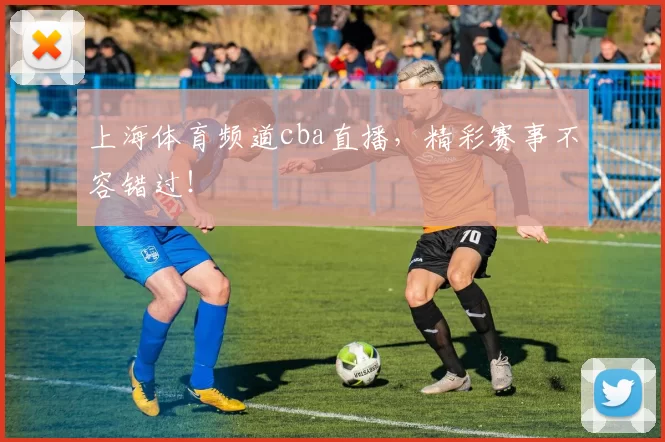 上海体育频道cba直播，精彩赛事不容错过！