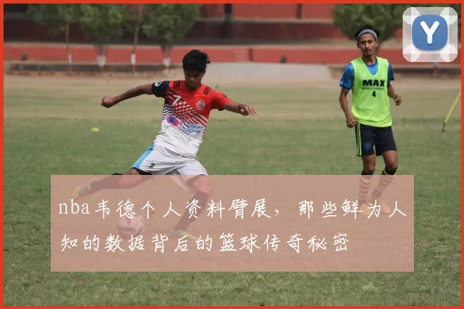 nba韦德个人资料臂展，那些鲜为人知的数据背后的篮球传奇秘密