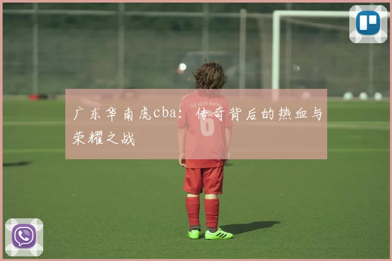 广东华南虎cba：传奇背后的热血与荣耀之战