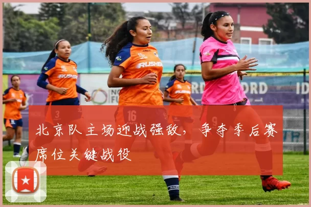 北京队主场迎战强敌，争夺季后赛席位关键战役