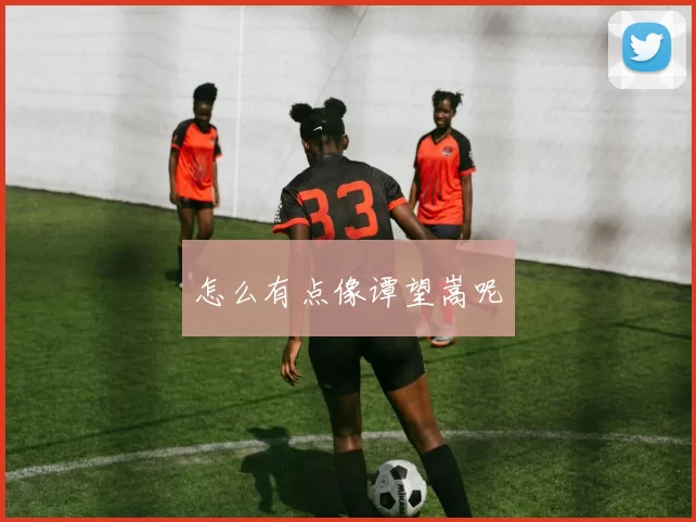 怎么有点像谭望嵩呢